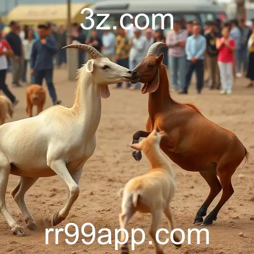 Rinha de Galos: A Tradição, Controvérsias e o Impacto na Sociedade Utilizando o Termo rr99